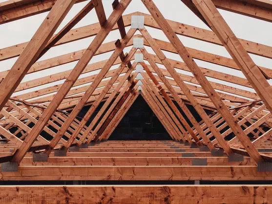 Rafters and roof trusses